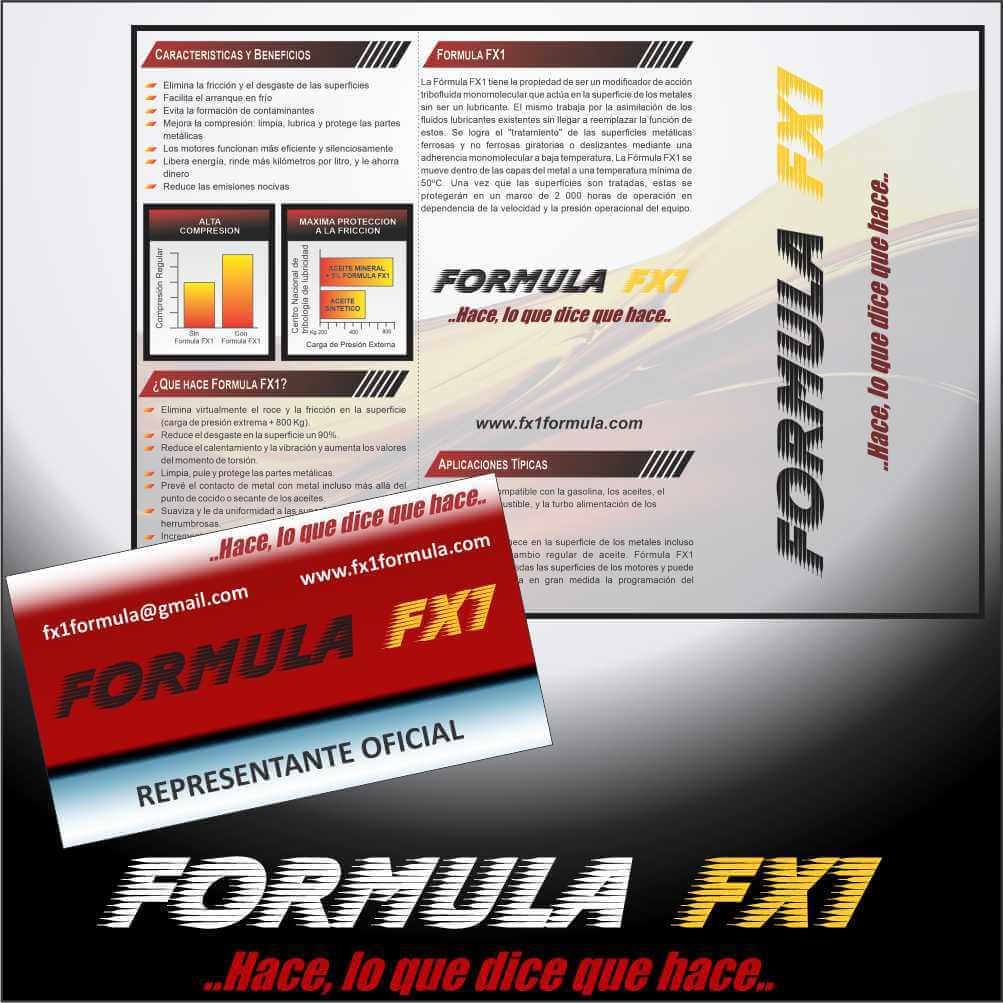 Portfolio Formula FX1 - IM IMPORT & EXPORT